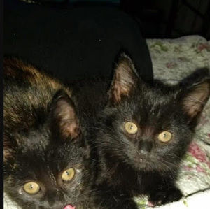 Meet your Posher, Zoe